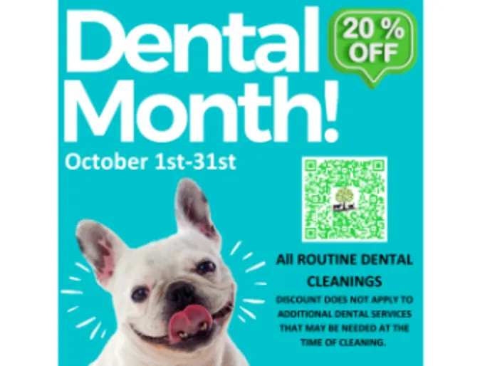 Dental Promotion for all routine dental cleanings